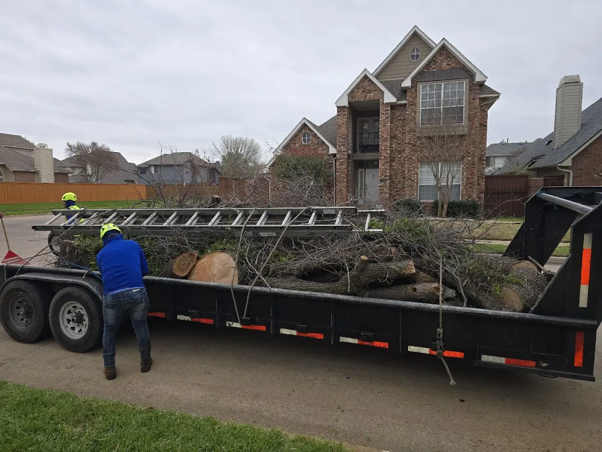 Expert Lot Clearing with proper safety equipment in Bonner